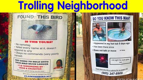 fake neighborhood watch postcards|This Guy Won’t Stop Trolling His Neighborhood With Fake .